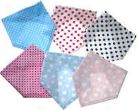 BIBST348 Bandana Bib