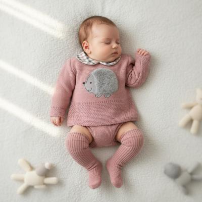 BO8066-DP  Hedgehog Jam Pant Set  (0-9 months)