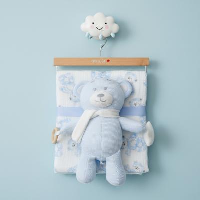 CC112-3004S Sky Blue Muslin Fabric Blanket & Teddy