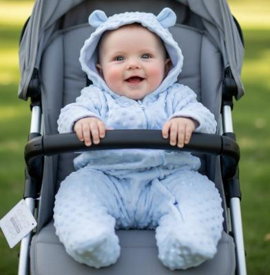 NT2020-2614-S Bubble/Popcorn Hooded All in One (NB-9 months)