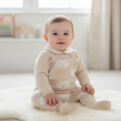 PX0728T  Benny Bear Dungaree Set  (NB - 9 months)