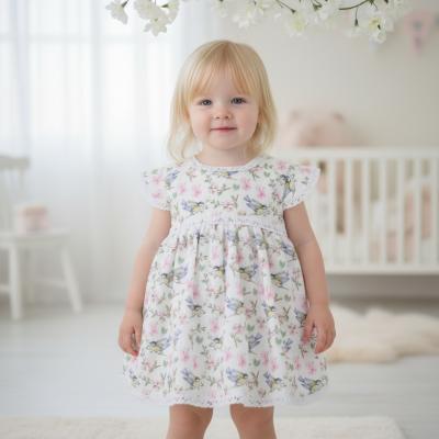 PX0910 Lark Dress (9-18 months)