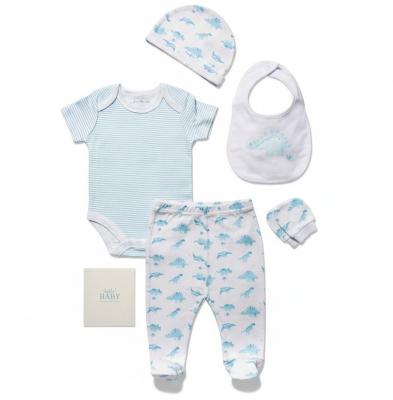 RBC04961  Dinosaur Memory Book 6 Piece Set  (NB - 6m)