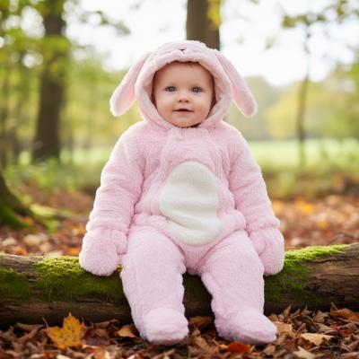 RBG11490P Bunny Fleece Pram Suit (NB-6 months)
