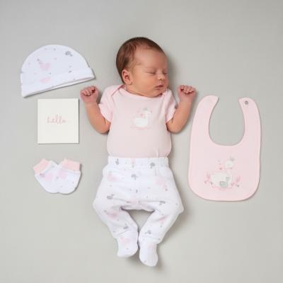 RBG11781P Baby Memory Book 6 Piece Set (NB - 6m)