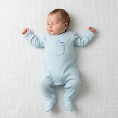 RBH14052S  Pocket "Tortoise" All In One  (0-9 months)