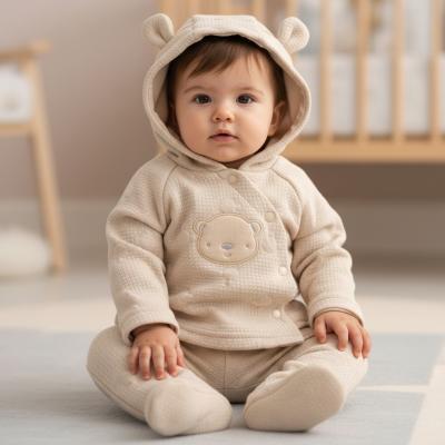 RBJ15440 Teddy Textured Quilted Hooded Set (Nb-6 months)