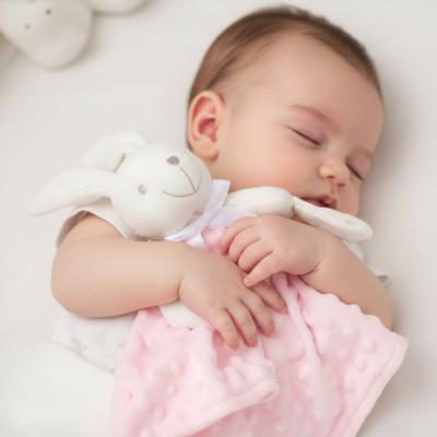 RBS19757 Pink Bubble "Bunny" Comforter
