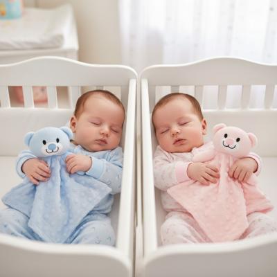 SB25-1245A Teddy Comforter SINGLE (Choose Colour)