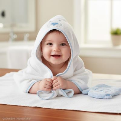 SB25-1270-S Blue Teddy Hooded Towel and Wash Mitt