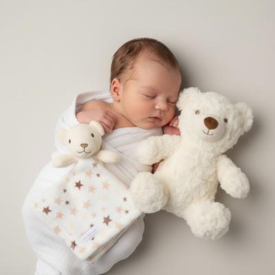 SND06332W  Bear Toy and Comforter Set 